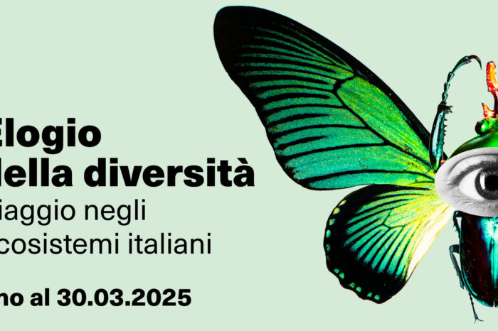 A Palazzo delle Esposizioni di Roma la mostra "Elogio della diversità - viaggio negli ecosistemi italiani"